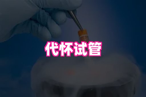 厦门助孕网站 4